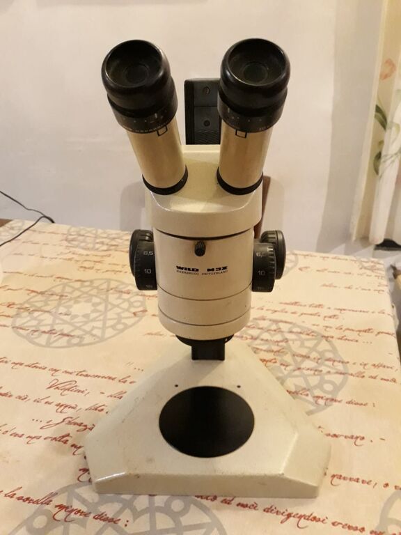 4831011 Microscopio Wild M3z Heerbrugg